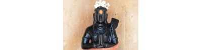 திருவாமூர்